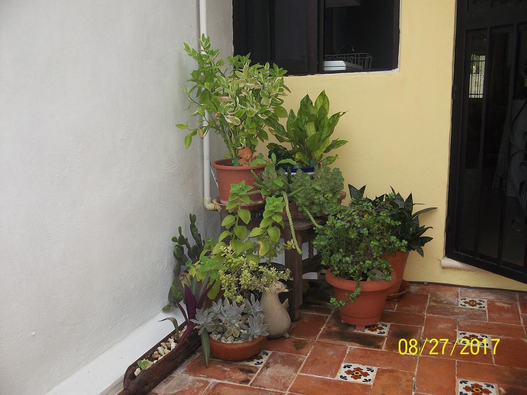 La Casa Del Chac Βίλα Mérida Εξωτερικό φωτογραφία